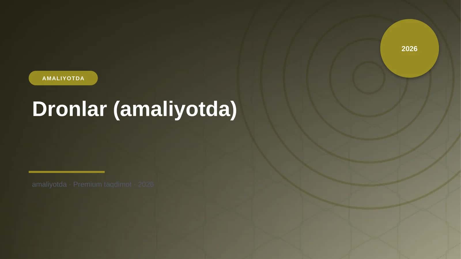 Dronlar (amaliyotda) 1