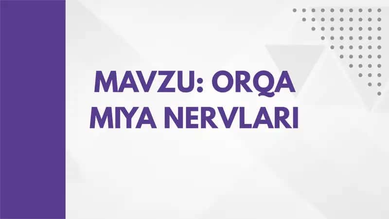 ORQA MIYA NERVLARI 1