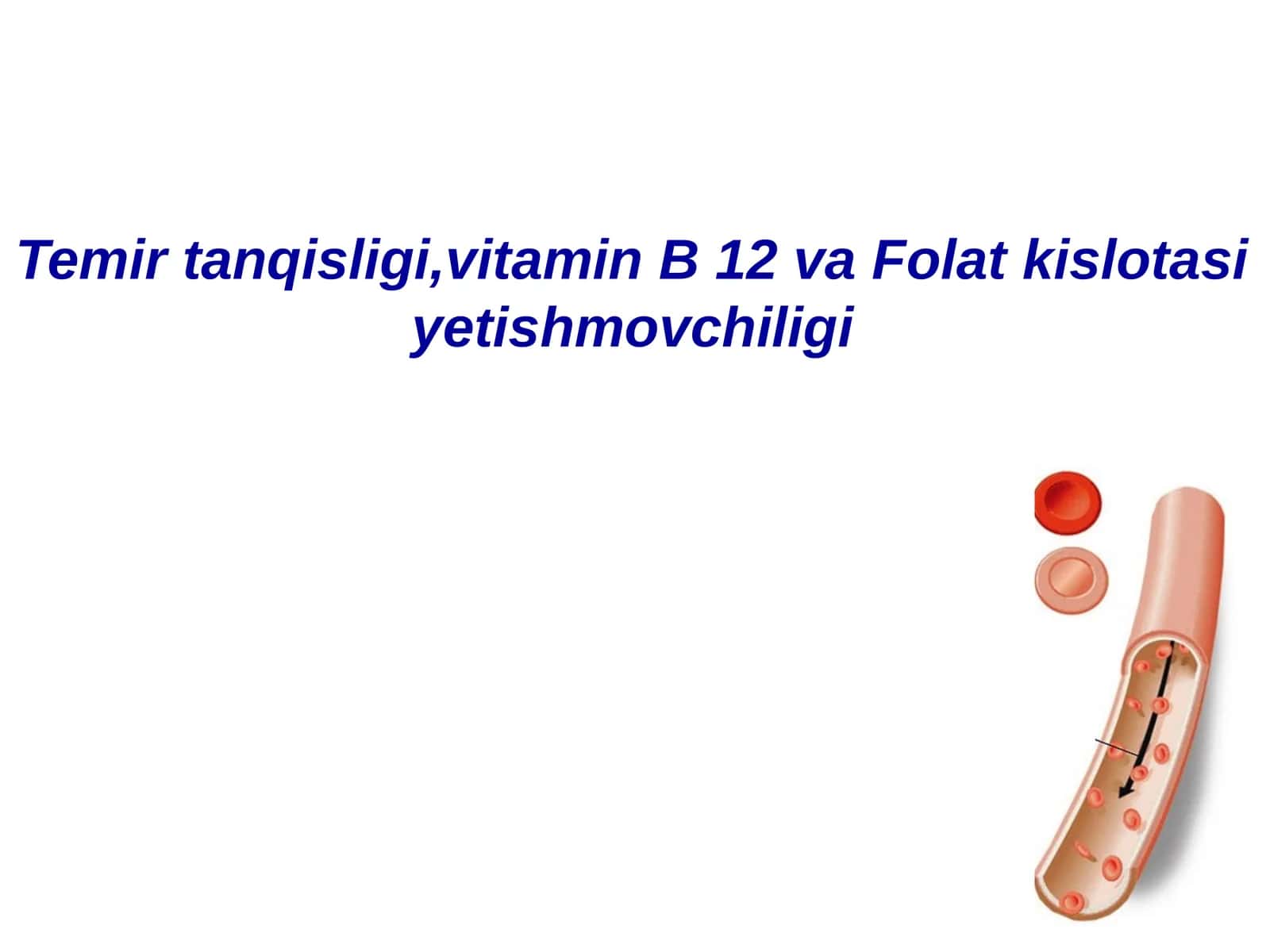 Temir tanqisligi,vitamin B 12 va Folat kislotasiyetishmovchiligi 1
