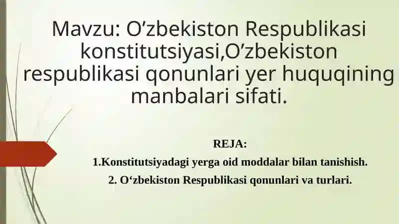 O’zbekiston Respublikasi konstitutsiyasi,O’zbekiston respublikasi qonunlari yer huquqining manbalari sifati.