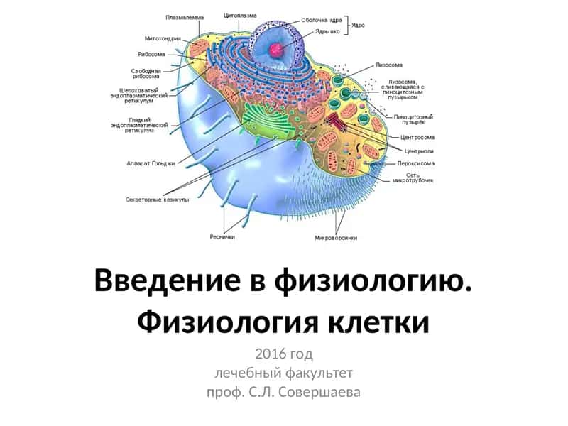 Введение в физиологию. Физиология клетки 1