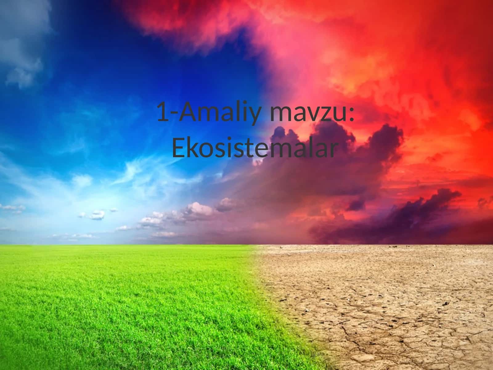 Ekosistemalar 1