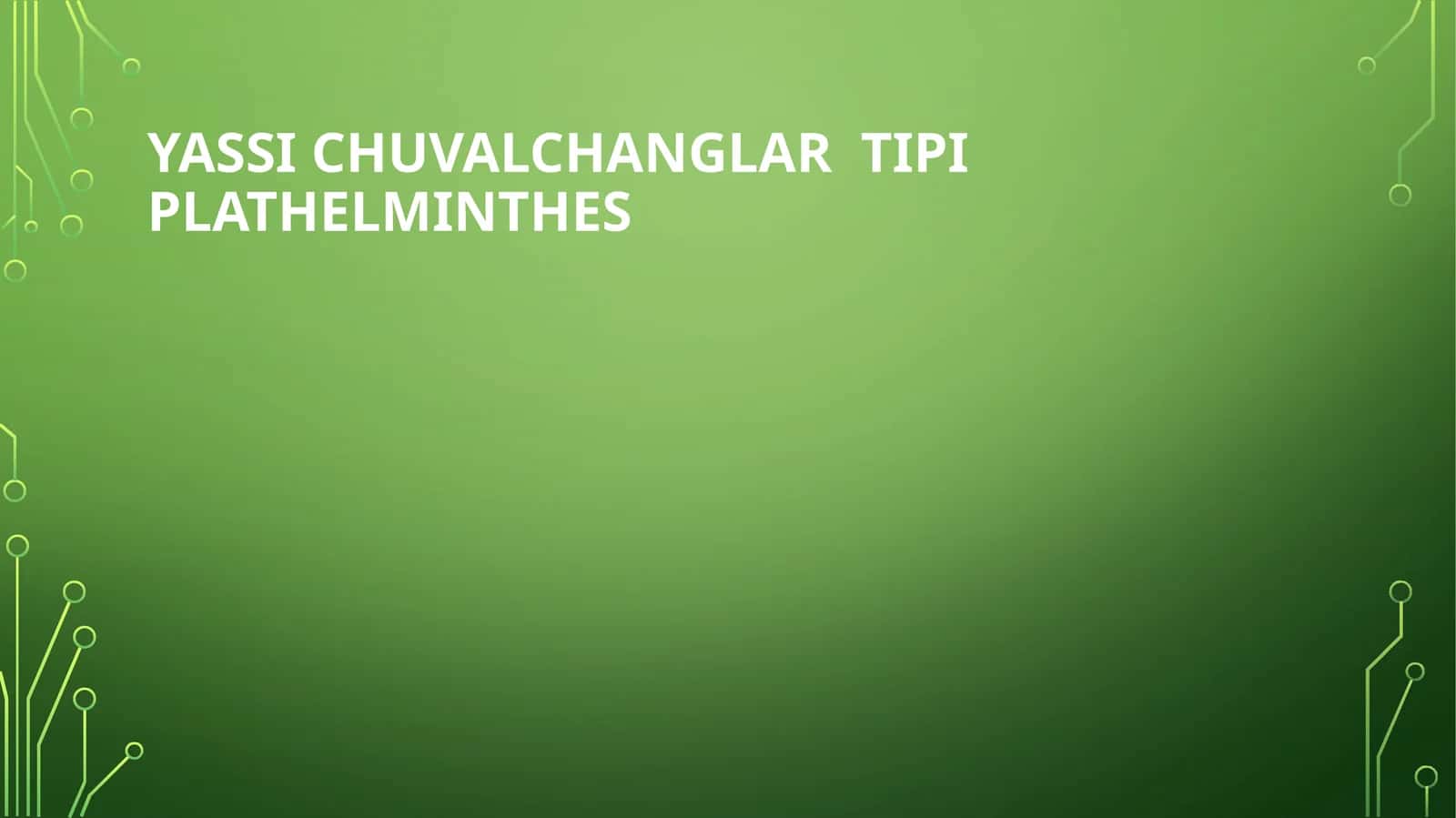 Yassi chuvalchanglar 1