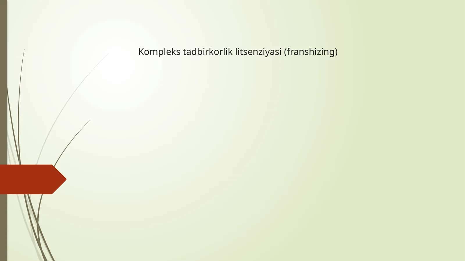 Kompleks tadbirkorlik litsenziyasi (franshizing) 1