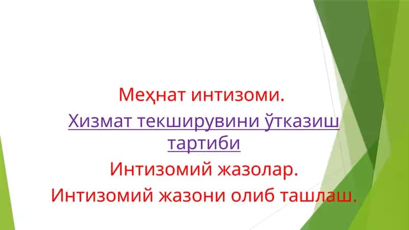Меҳнат интизоми (295-модда) 1