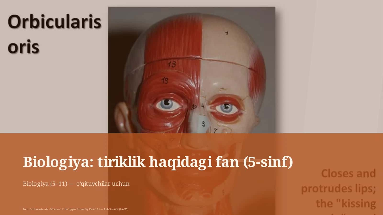 Biologiya: tiriklik haqidagi fan (5-sinf) 1