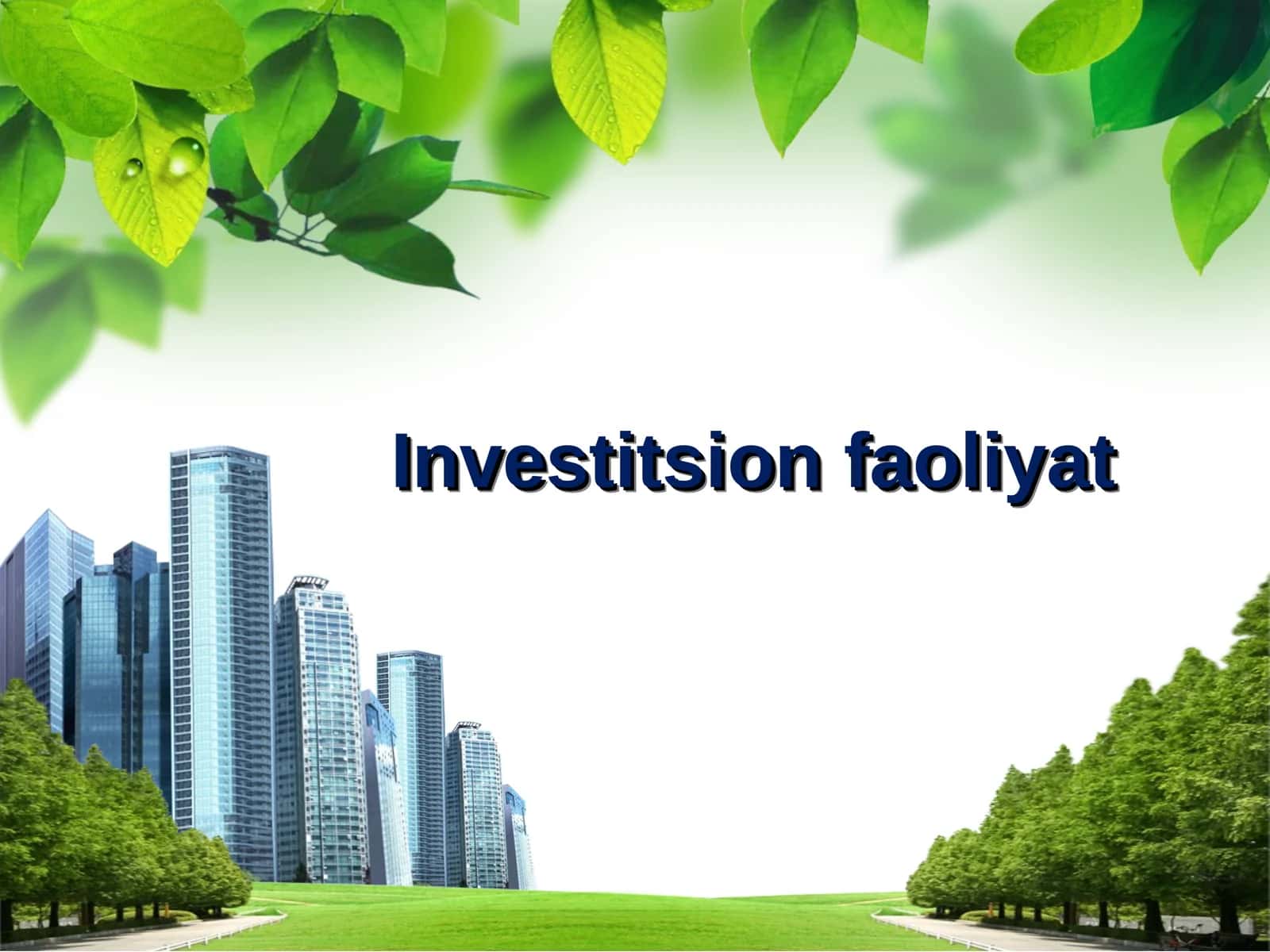 Investitsion faoliyat 1