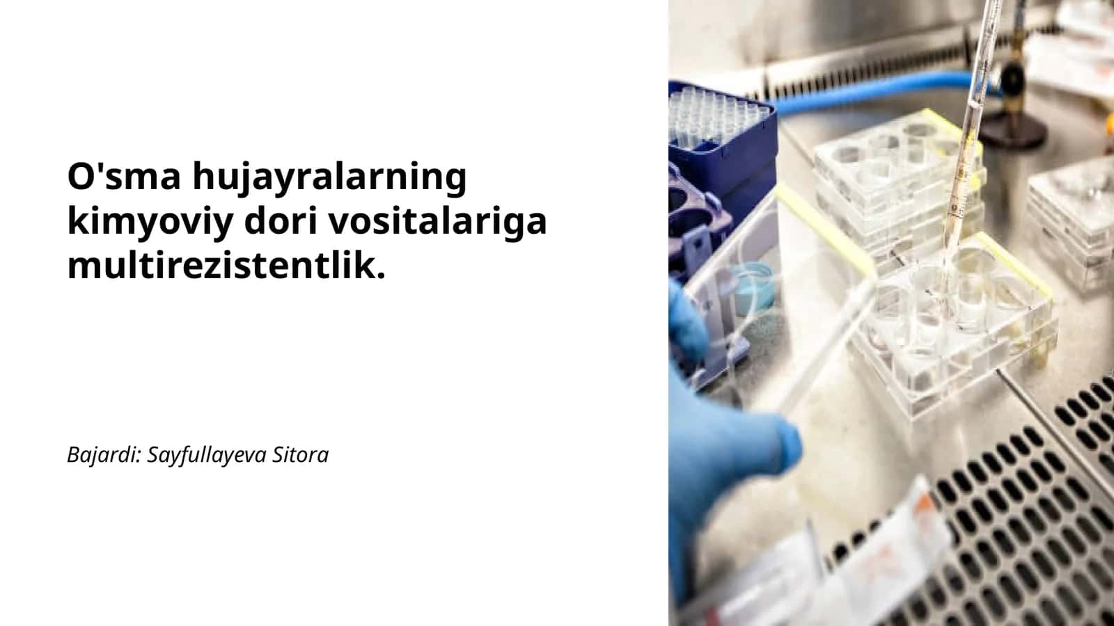 O'sma hujayralarning kimyoviy dori vositalariga multirezistentlik 1
