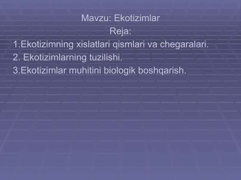 Ekotizimlar 1