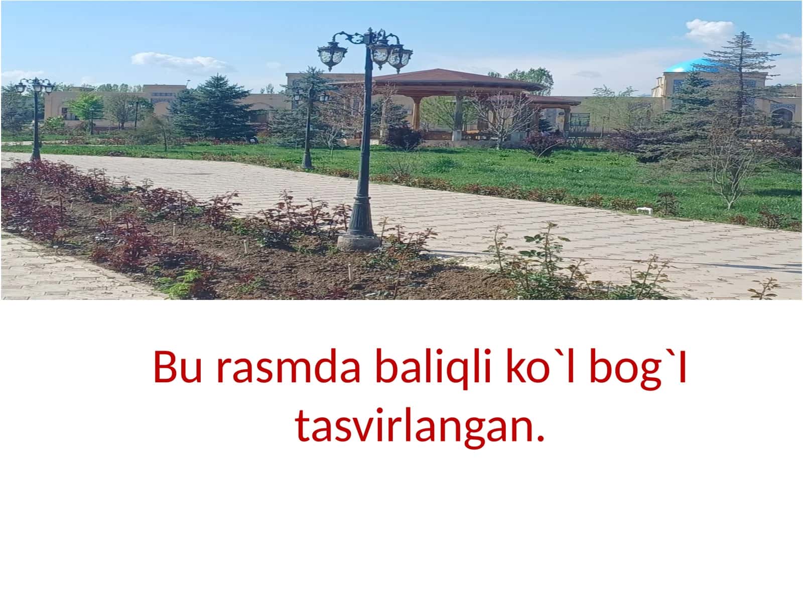 Bu ersam dabiqli ko'lbog'i tasvirlangan 1