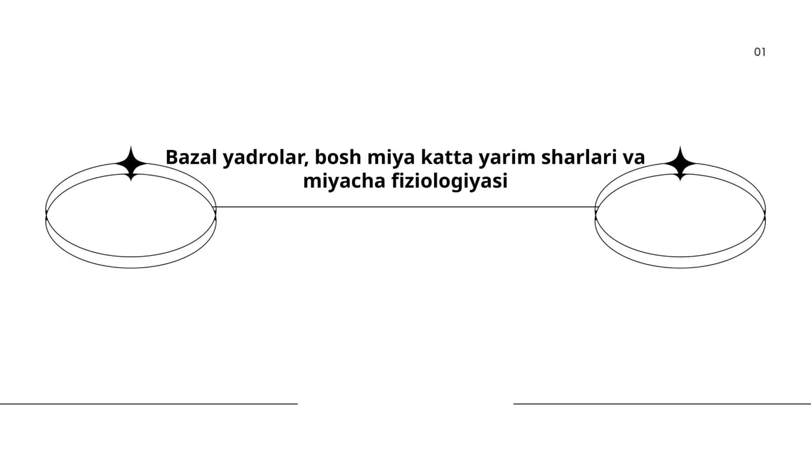 Bazal yadrolar, bosh miya katta yarim sharlari va miyacha fiziologiyasi 1