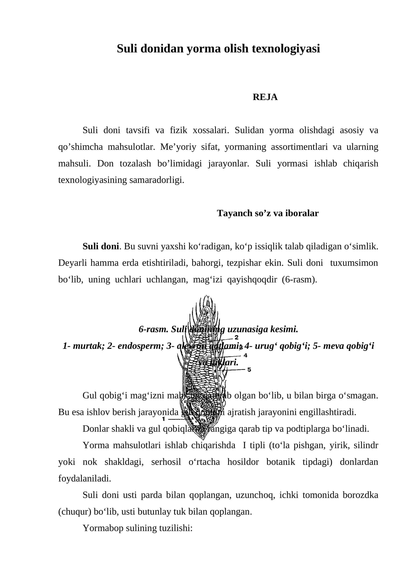 Suli donidan yorma olish texnologiyasi 1