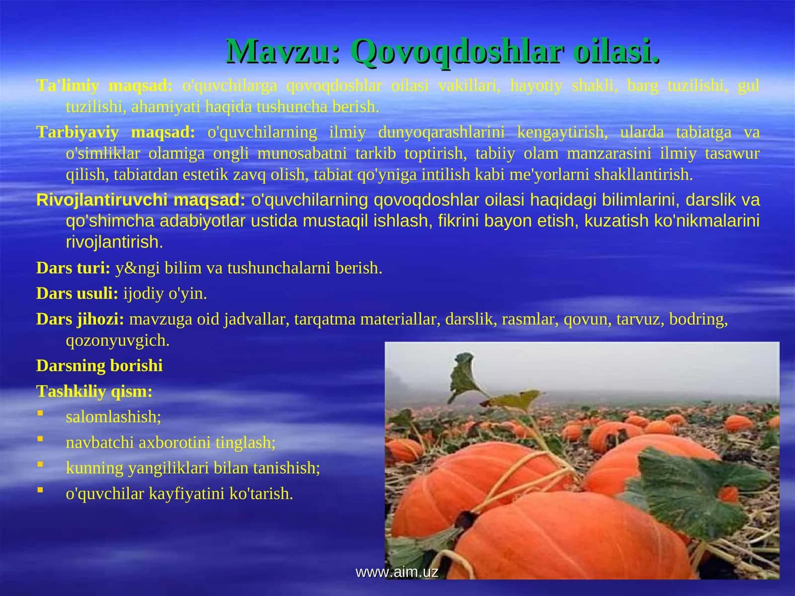 Qovoqdoshlar oilasi 1