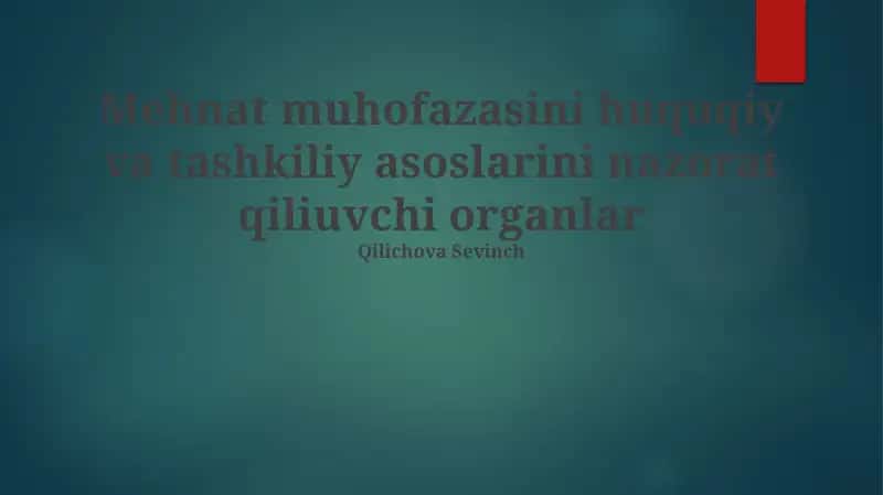 Mehnat muhofazasini huquqiy va tashkiliy asoslarini nazorat qiliuvchi organlar 1