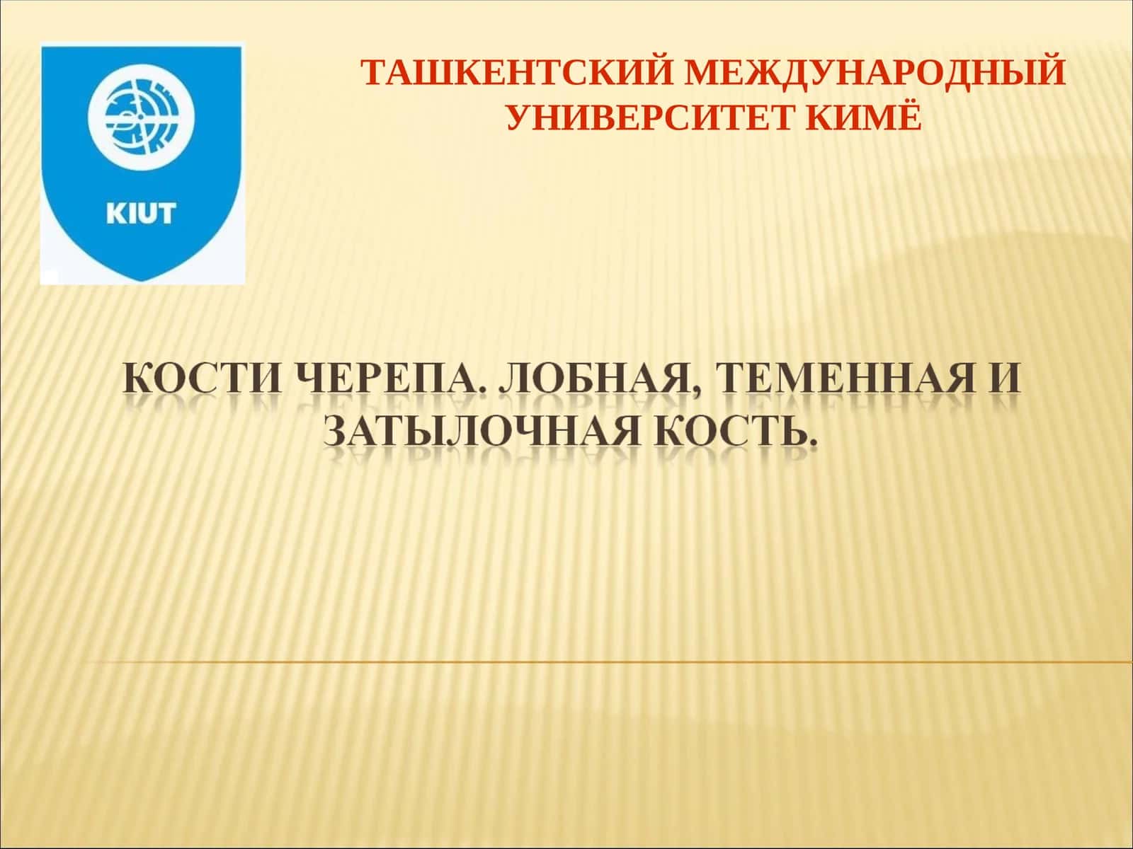 Скелет головы – череп (cranium) 1