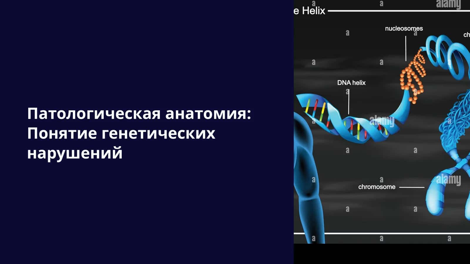 Генетические нарушения 1