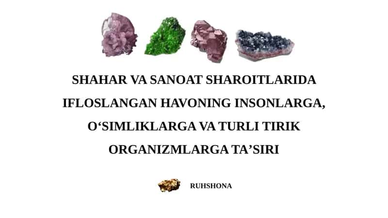 meniral resurslar 1