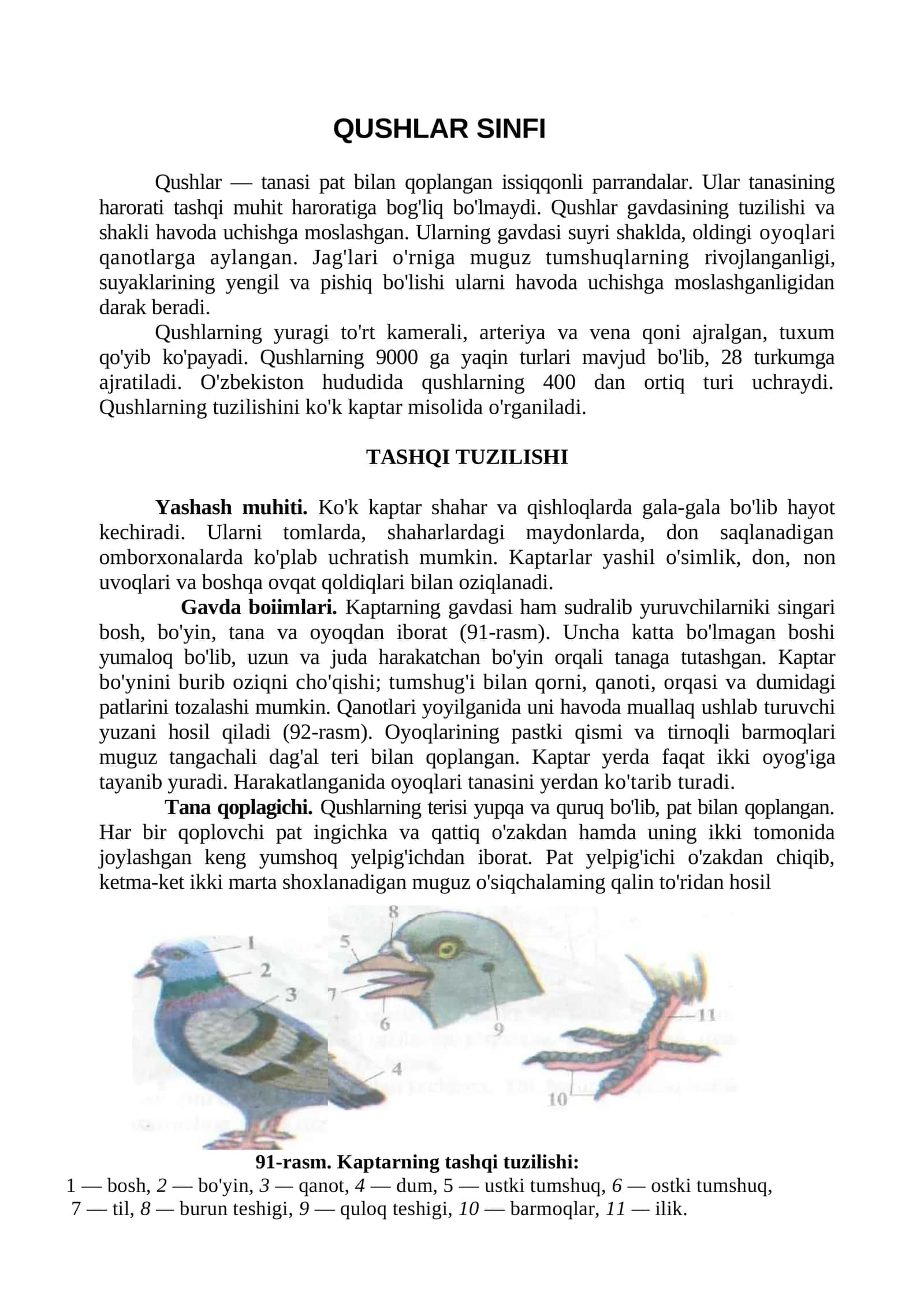 QUSHLAR SINFI 1