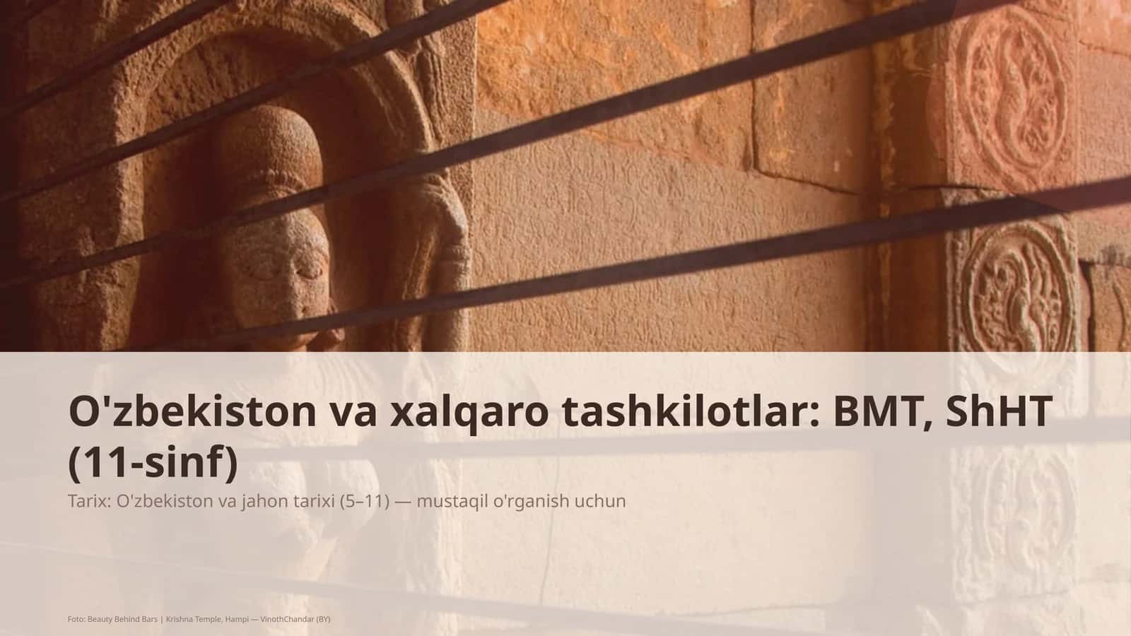 O'zbekiston va xalqaro tashkilotlar: BMT, ShHT (11-sinf) 1