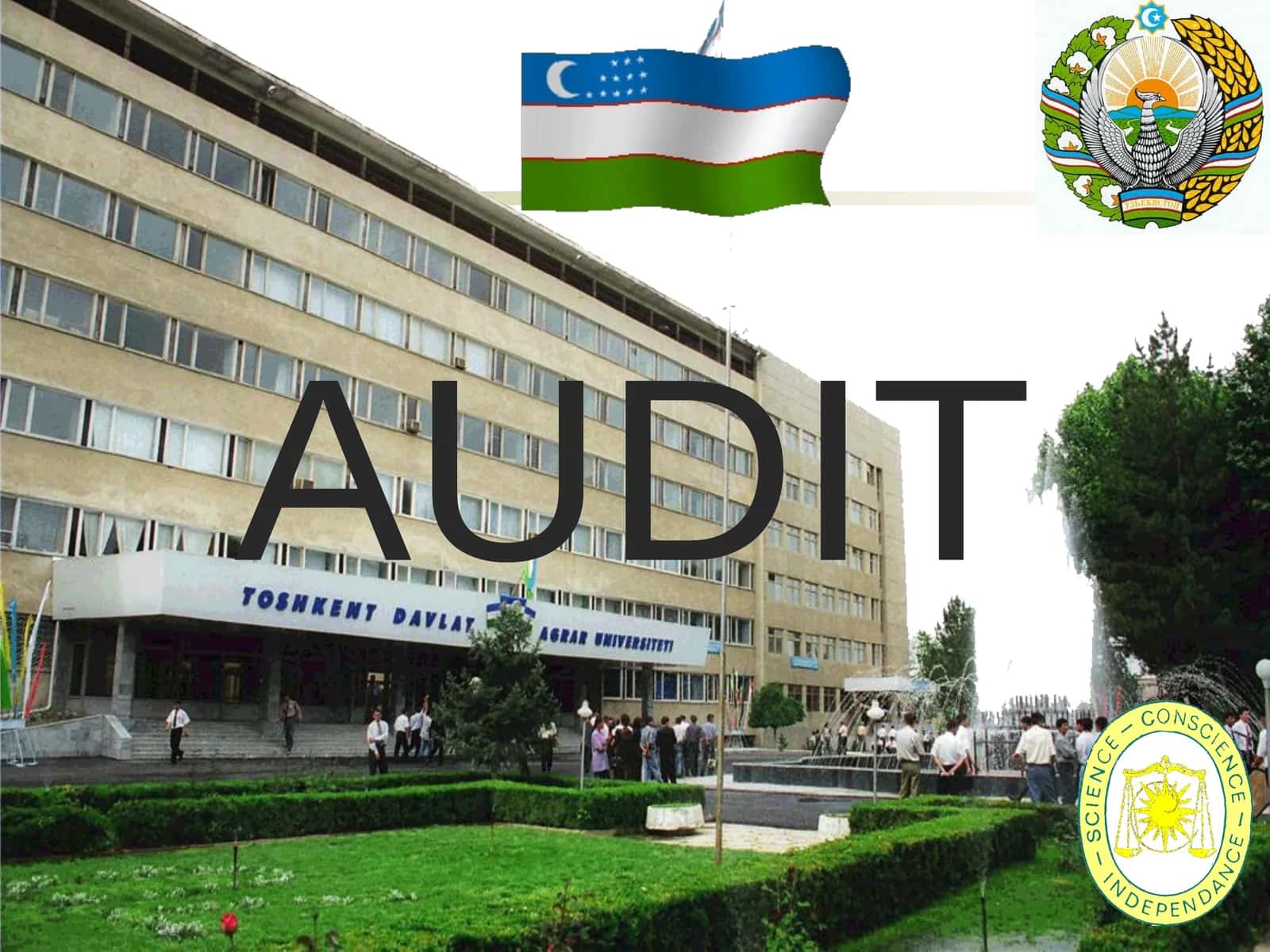 AUDIT 1