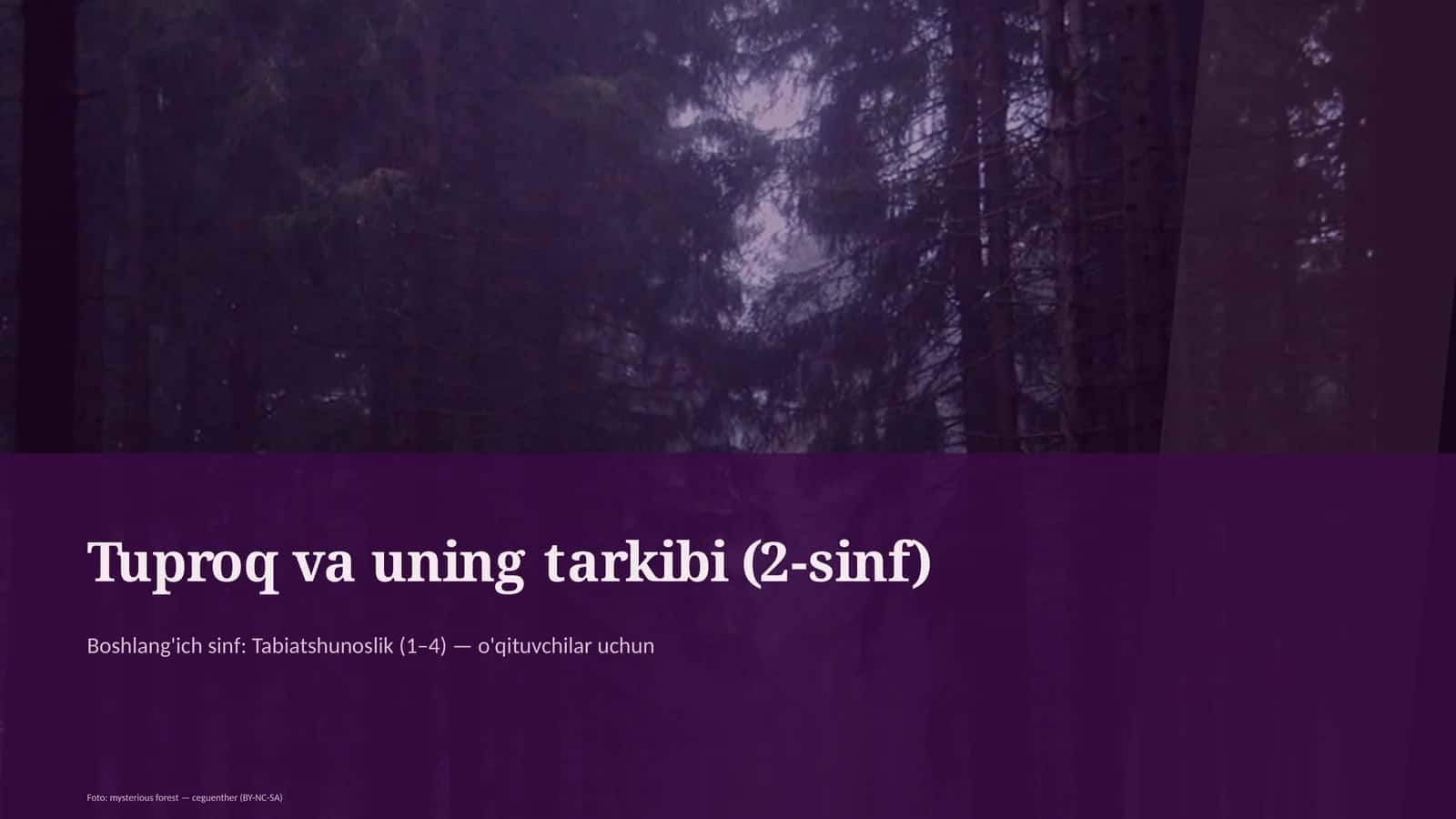 Tuproq va uning tarkibi (2-sinf) 1