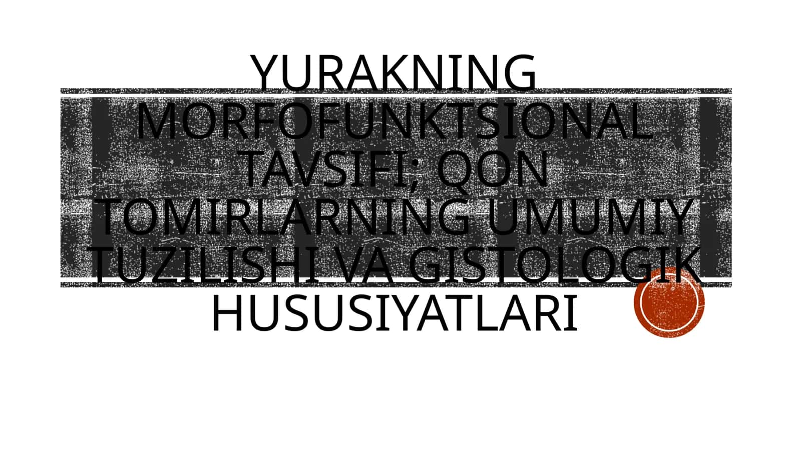 Yurakning morfofunktsional tavsifi 1