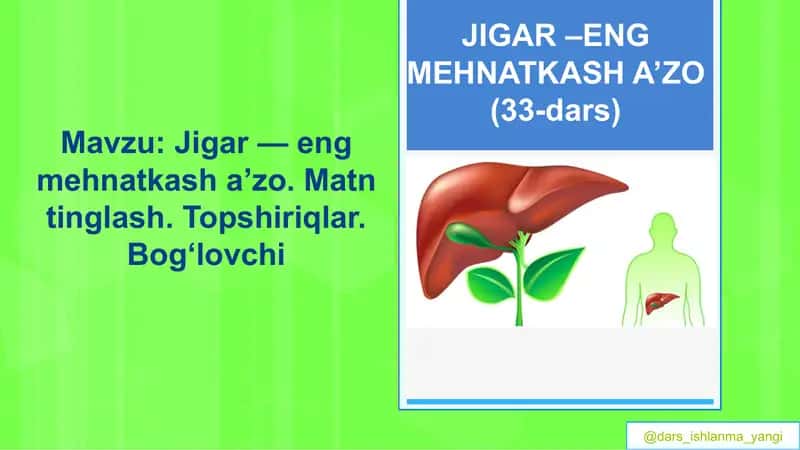 JIGAR –ENG MEHNATKASH A’ZO (33-dars) 1