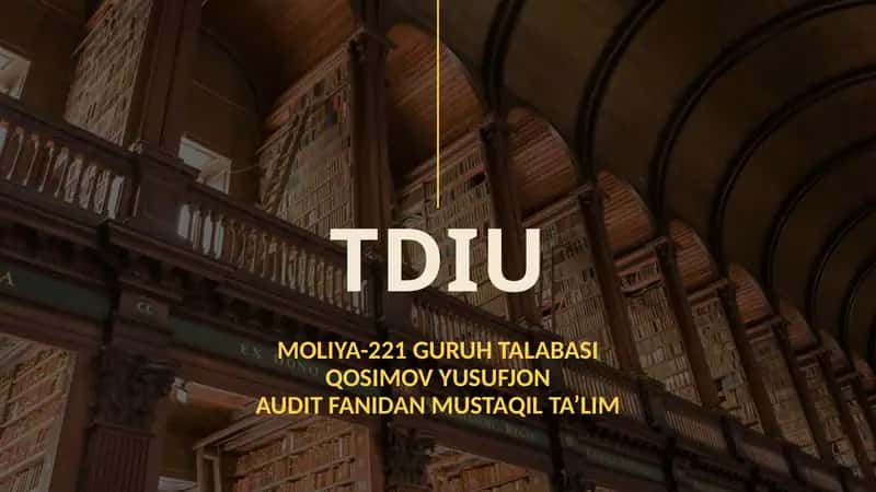 Auditdanlabtekshirishuslubi 1