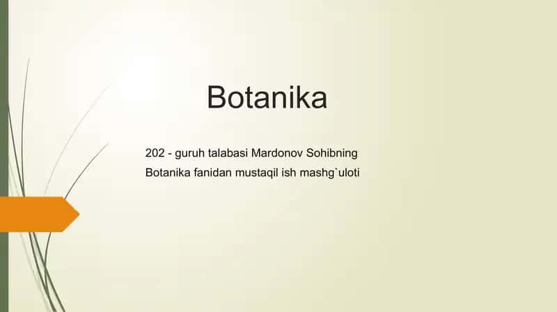 Botanika, Paleozoy ve mezozoy dönemlerinde geniş bir şekilde var olan açık tohumlu bitkilerin evrim süreci ve morfolojik özellikleri hakkında bilgi veren bir ders materyali. 1