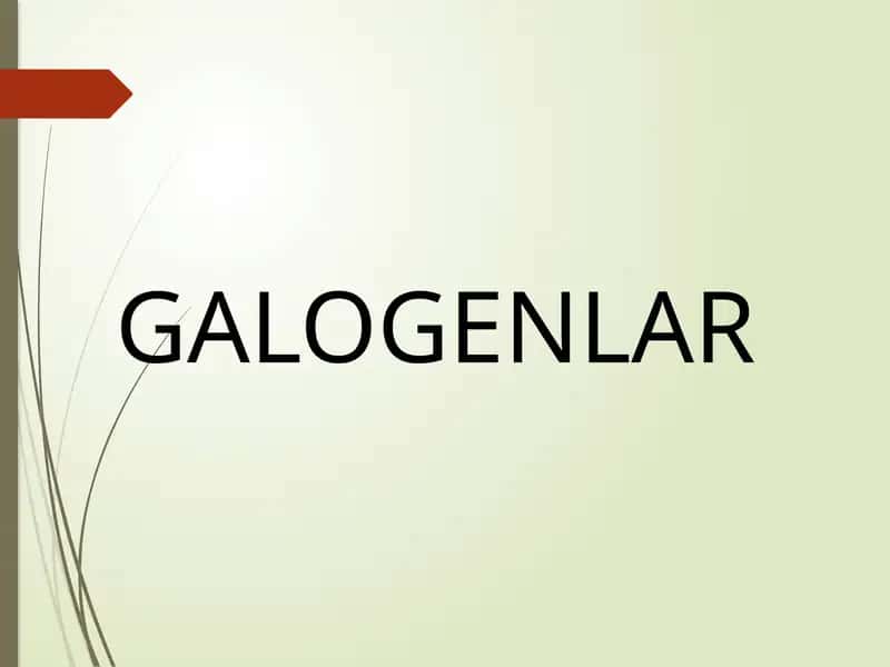 GALOGENLAR 1