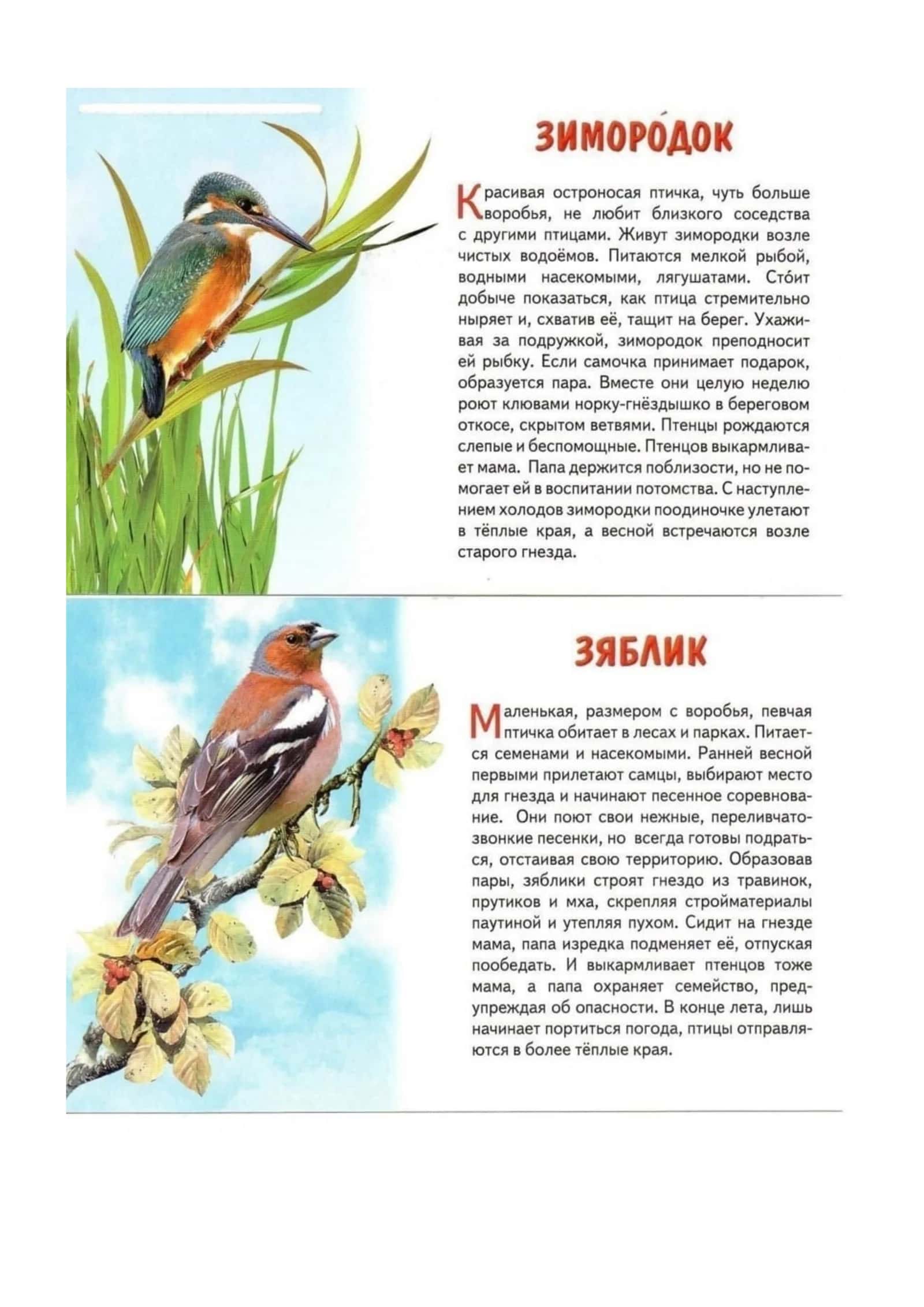 Mavzu 1: Adabiyot fanining rivojlanishi va ahamiyati 1