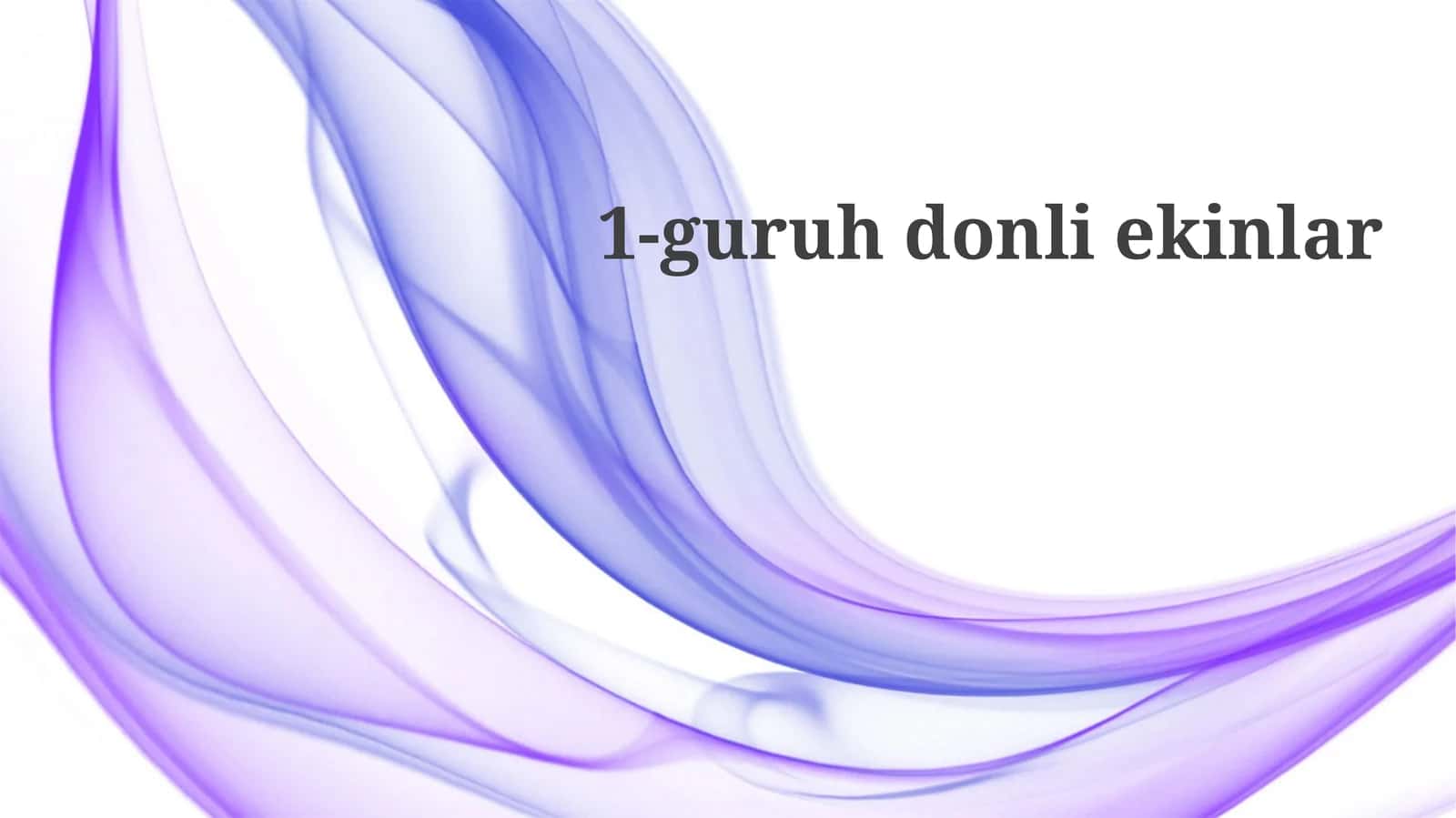 Yangi Don Mahsulotlari 1