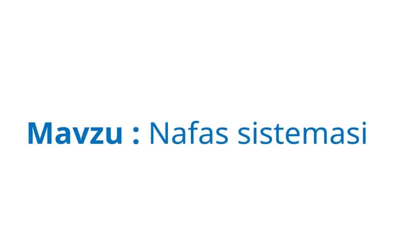 Nafas sistemasi 1