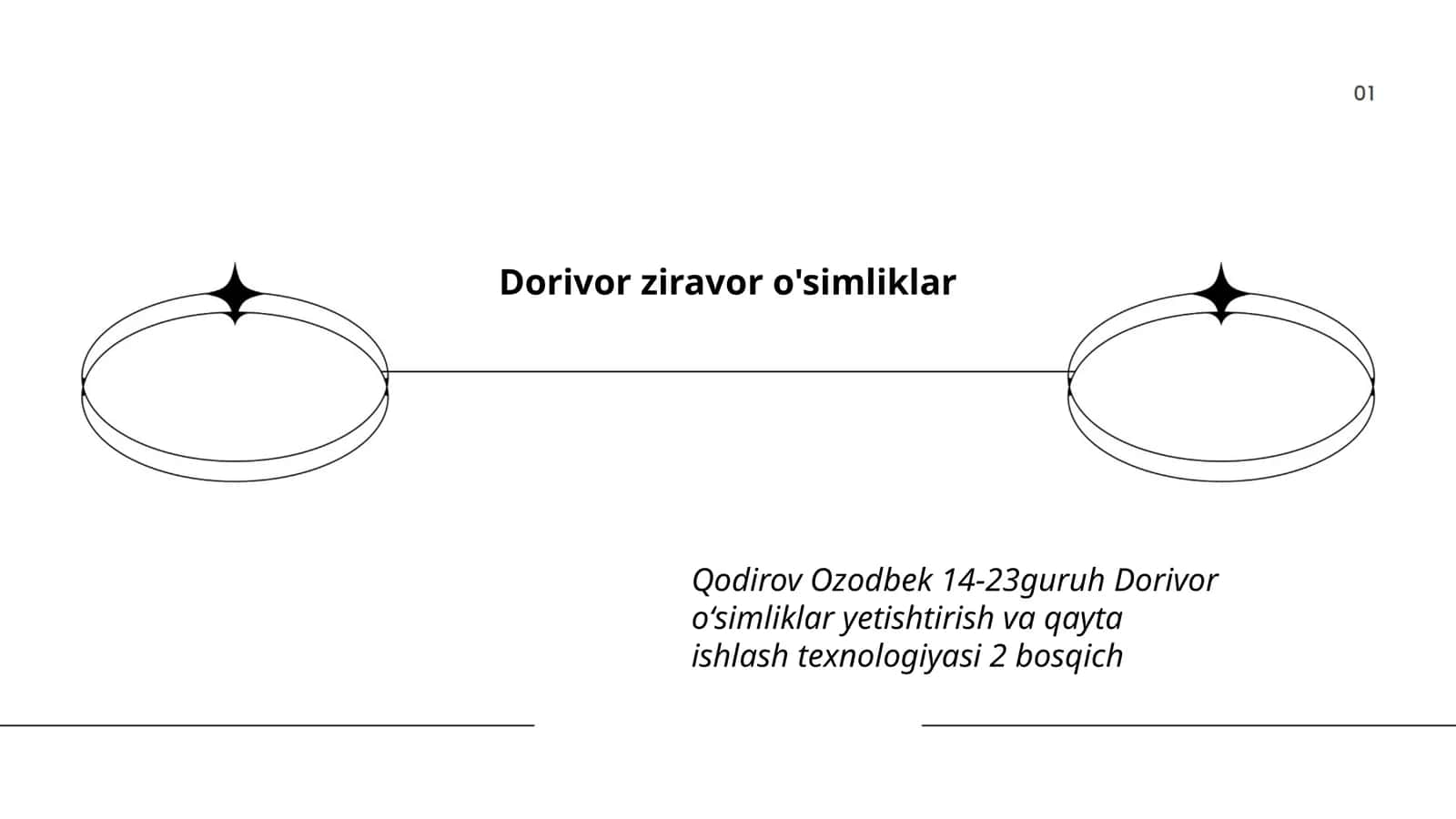 Dorivor ziravor o'simliklar 1