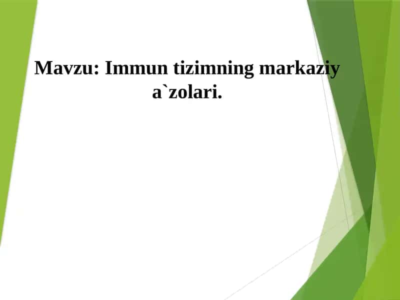 Immun tizimning markaziy a`zolari. 1