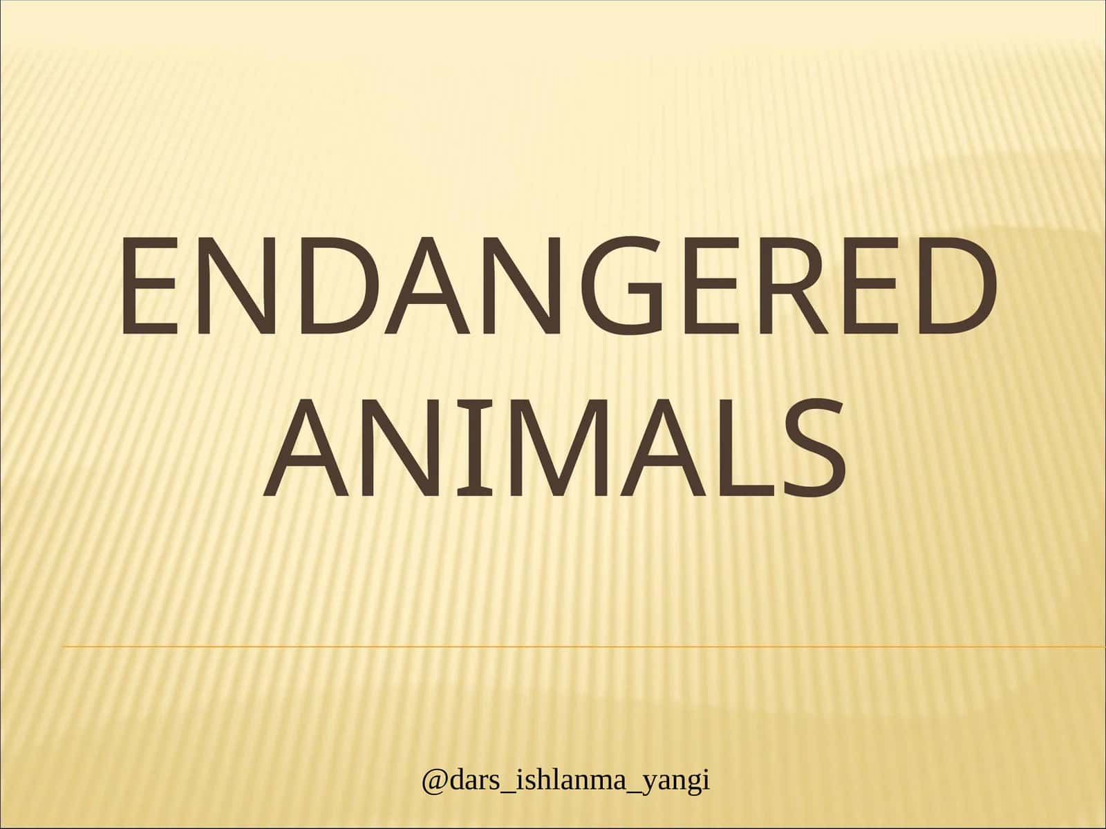Endangered Animals 1