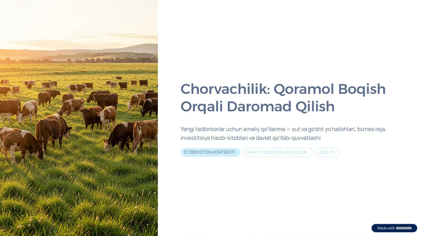 Chorvachilik: Qoramol Boqish Orqali Daromad Qilish 1