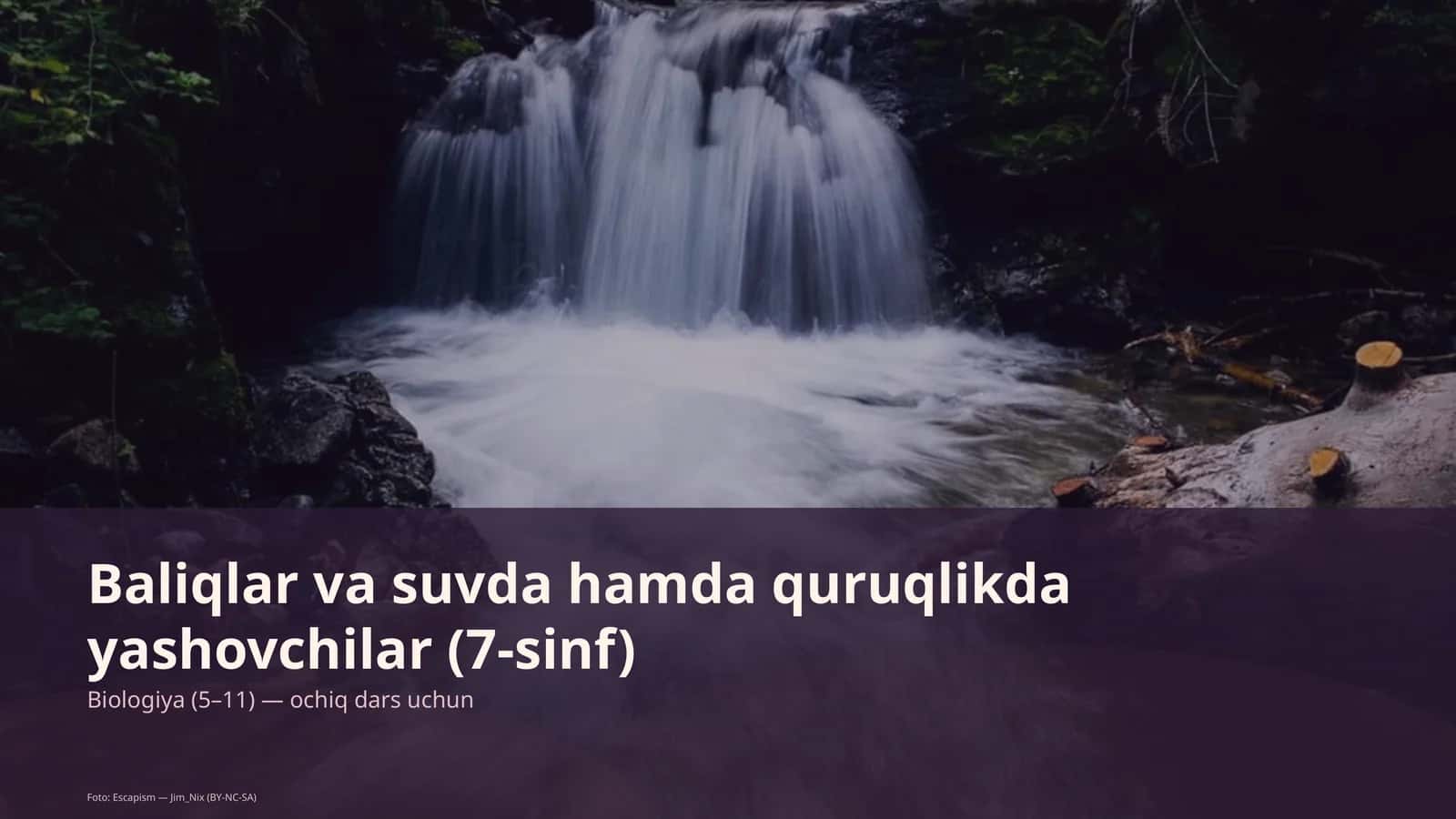 Baliqlar va suvda hamda quruqlikda yashovchilar (7-sinf) 1