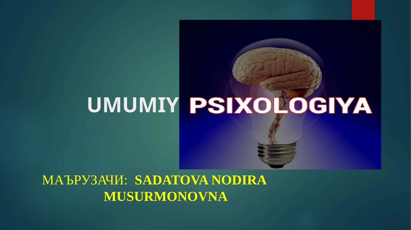intellekt va kreativlik haqida tushunchalar, nazariyalar, metodikalar 1