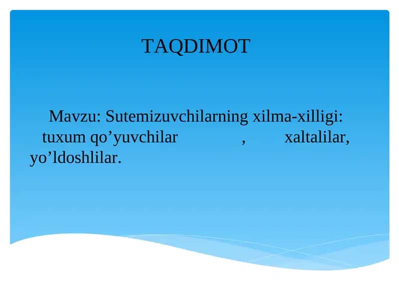 Sutemizuvchilarning xilma-xilligi: tuxum qo’yuvchilar, xaltalilar, yo’ldoshlilar 1