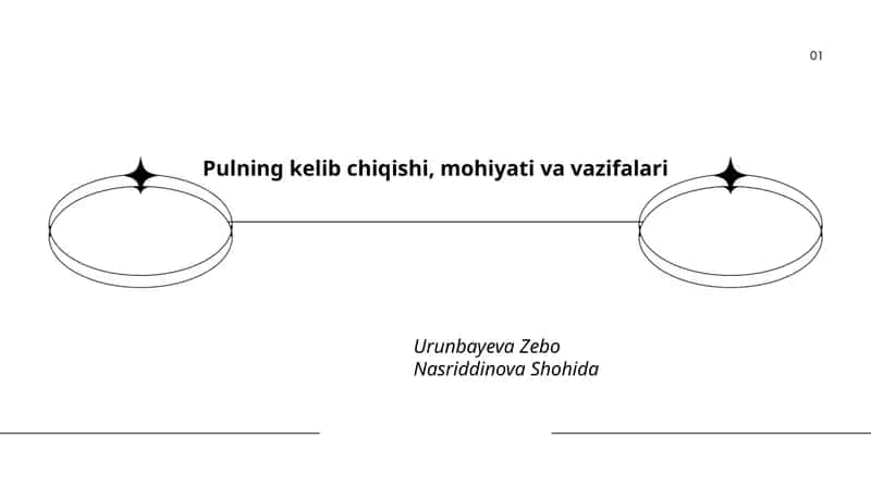 Pulning kelib chiqishi, mohiyati va vazifalari 1