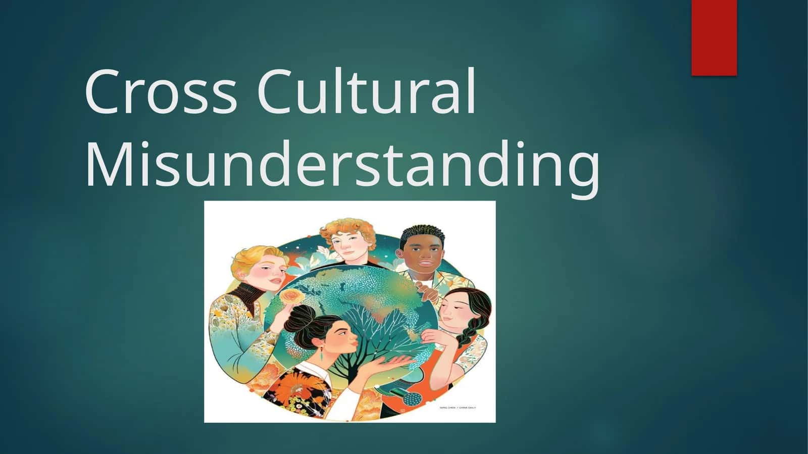Cross Cultural Misunderstanding 1
