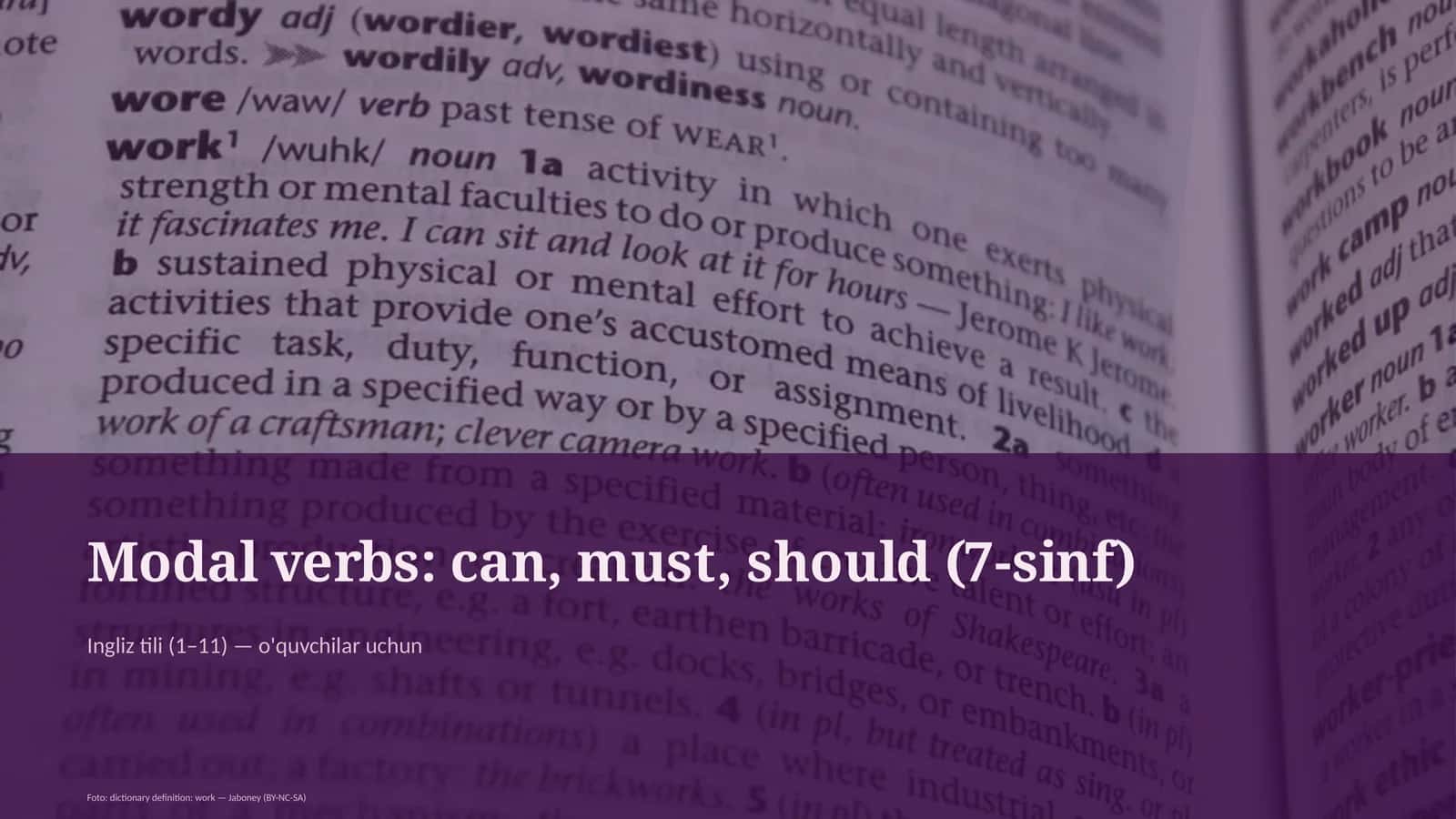 Modal verbs: can, must, should (7-sinf) 1