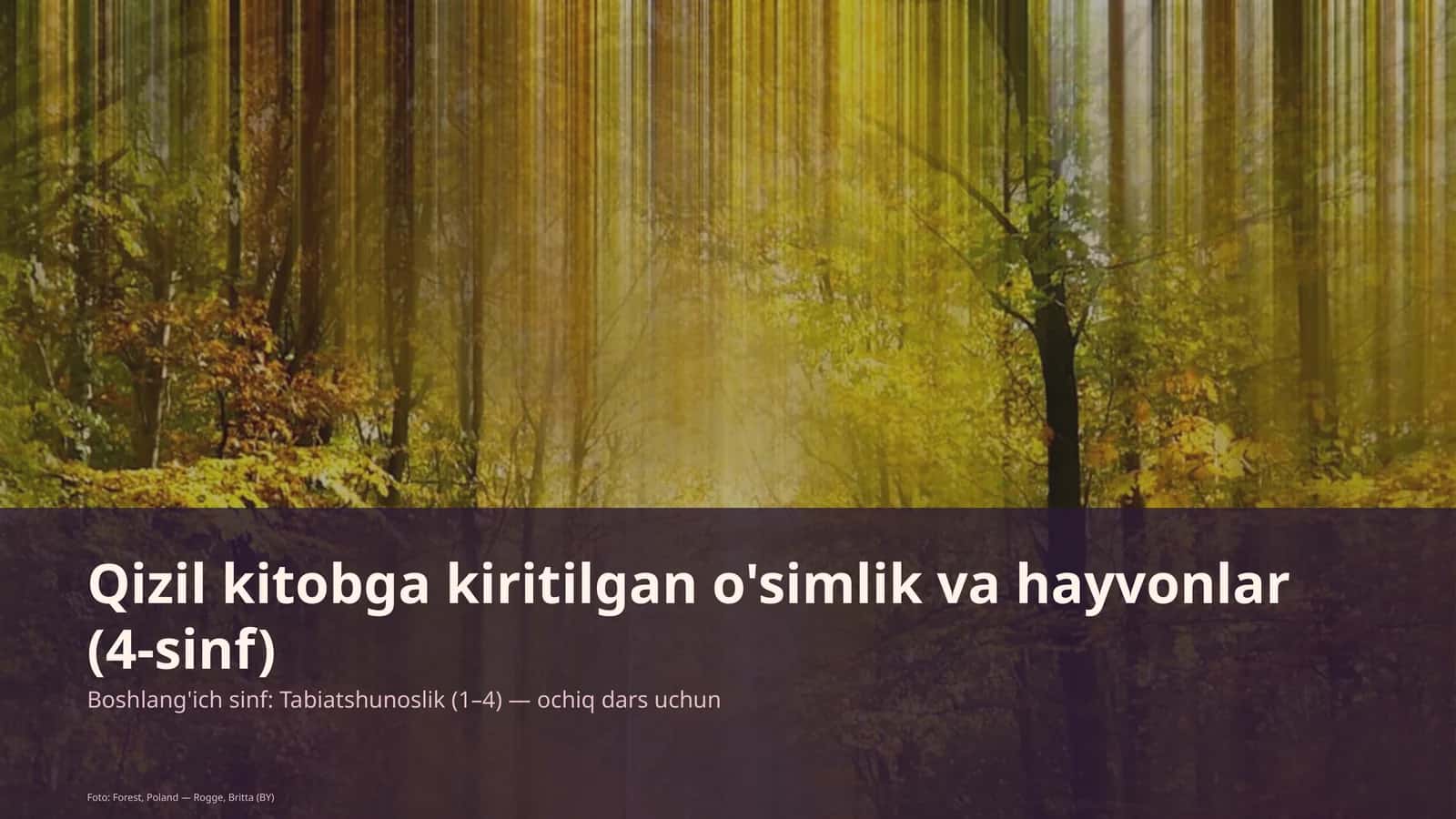 Qizil kitobga kiritilgan o'simlik va hayvonlar (4-sinf) 1