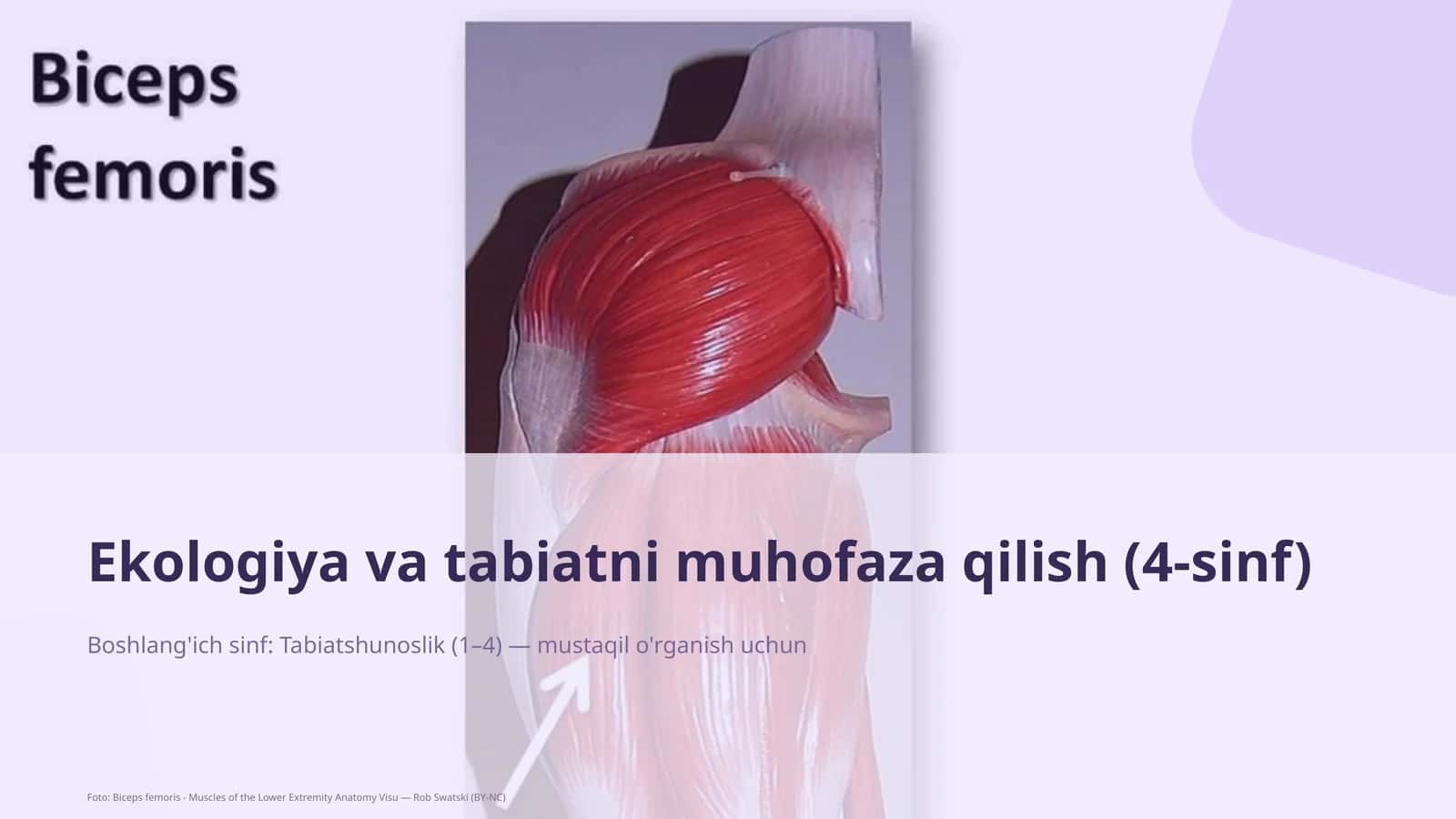 Ekologiya va tabiatni muhofaza qilish (4-sinf) 1