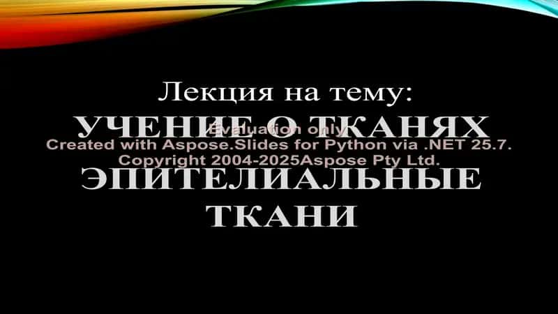 ЭПИТЕЛИАЛЬНЫЕ ТКАНИ 1