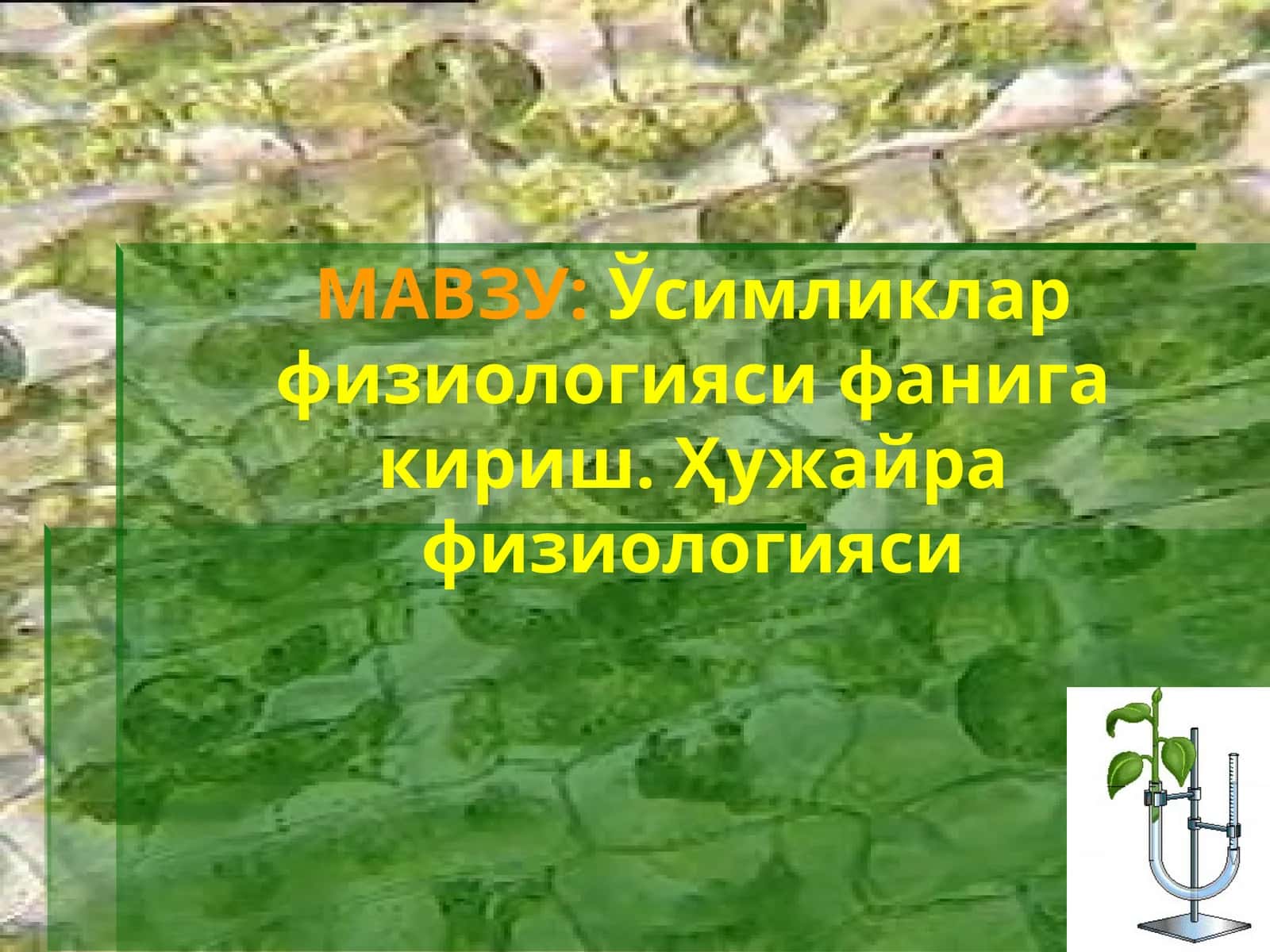 Ўсимликлар физиологияси фанига кириш. Ҳужайра физиологияси 1