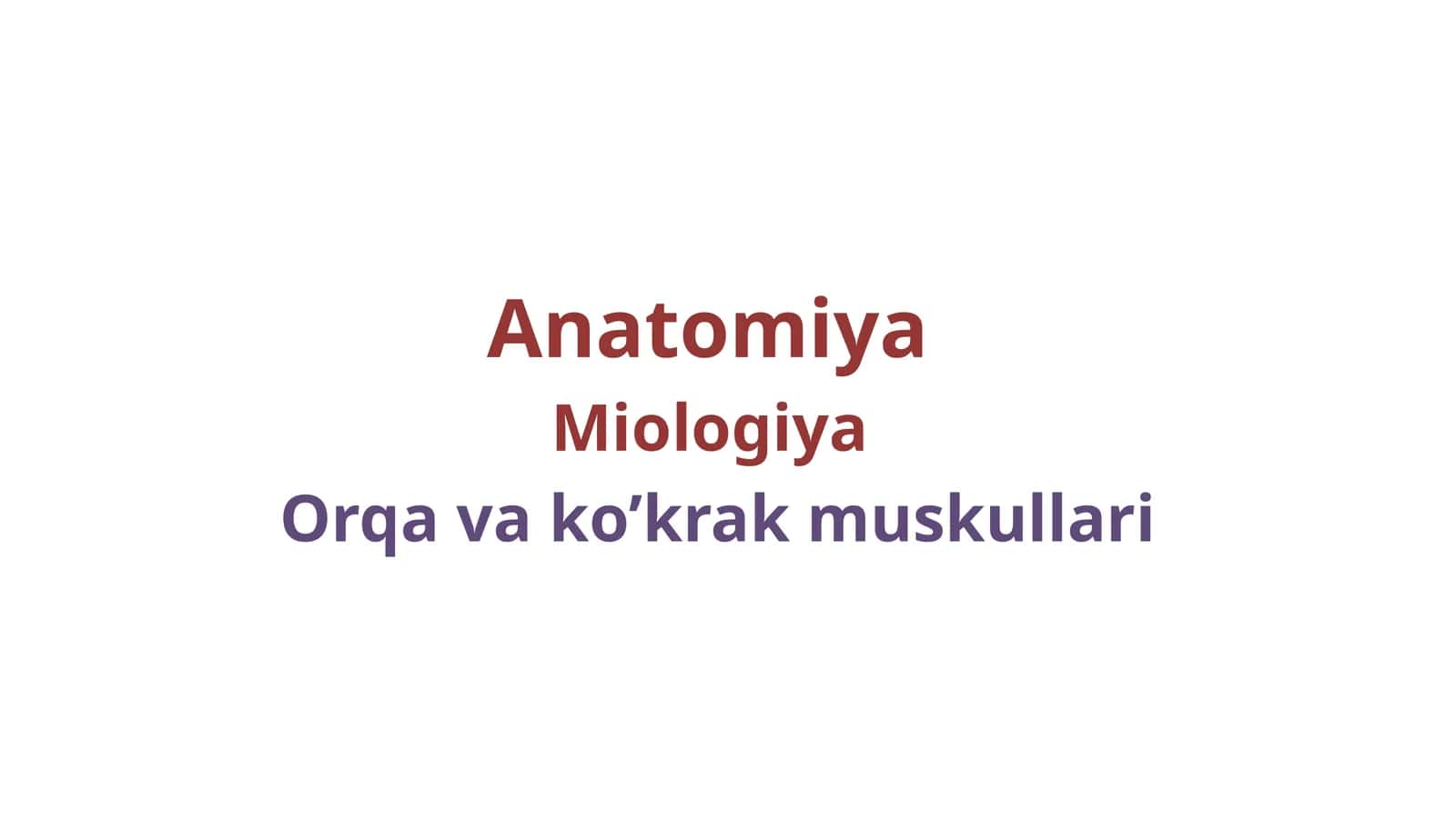 Orqa va kokrak muskullari 1