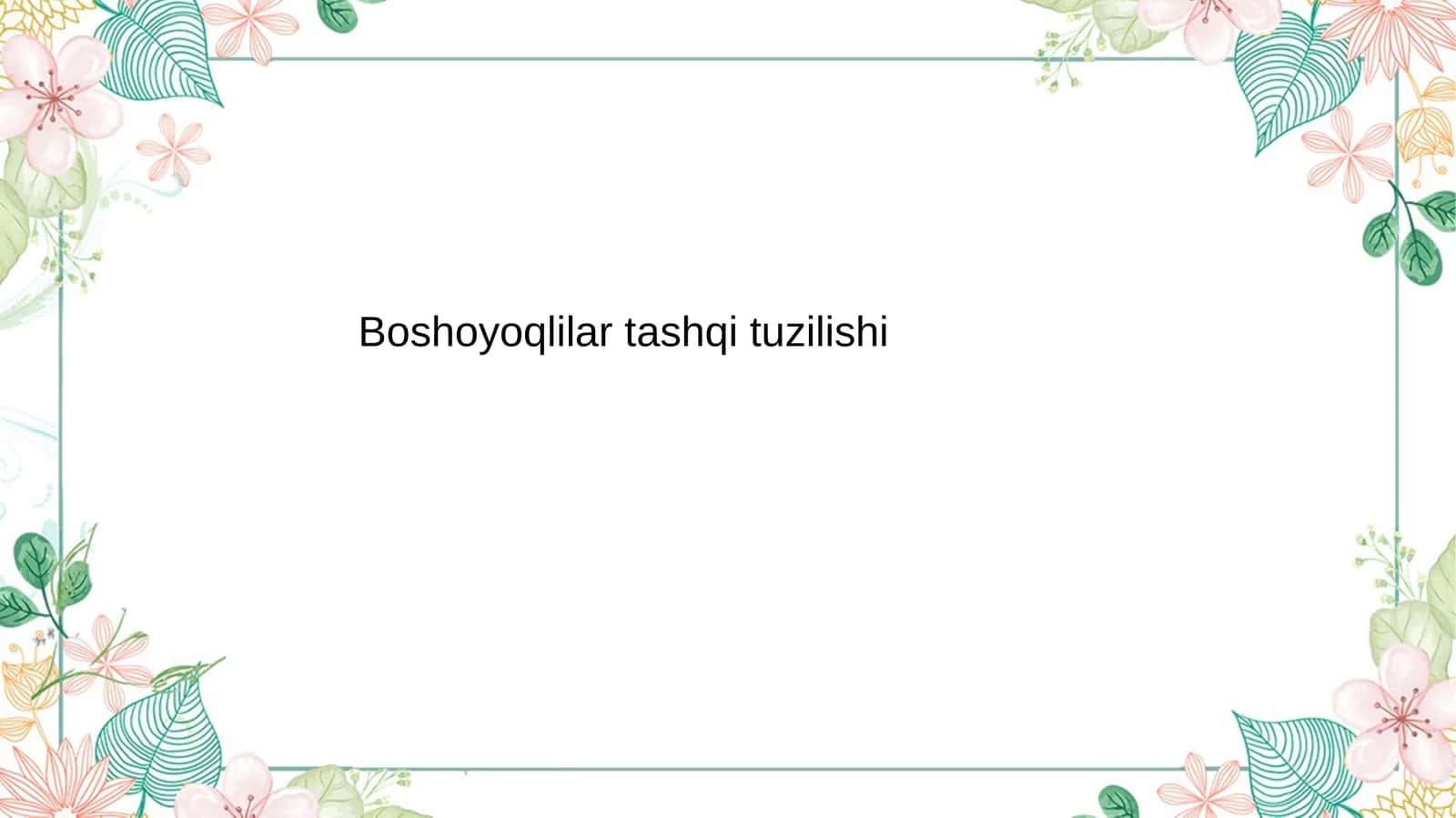 Boshoyoqli mollyuskalar (Cephalopoda) 1