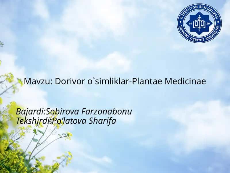 Dorivoro`simliklar-PlantaeMedicinae 1